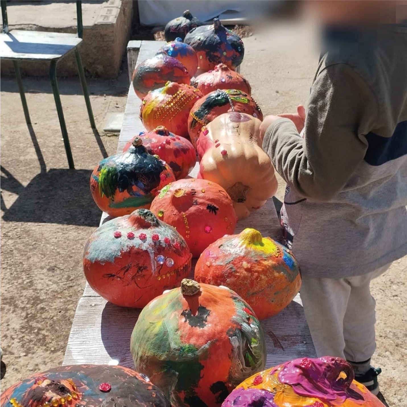 foto-zucca-5